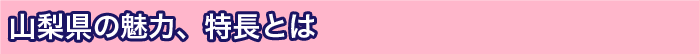 山梨県の魅力、特長とは
